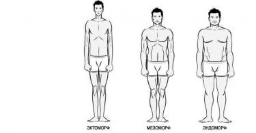 Эктоморф, мезоморф, эндоморф — типы телосложения